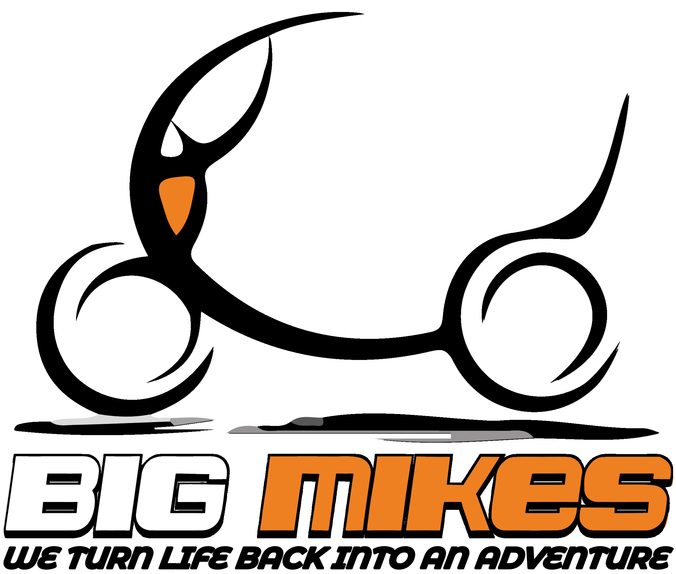 big-mikes-mobility-for-life