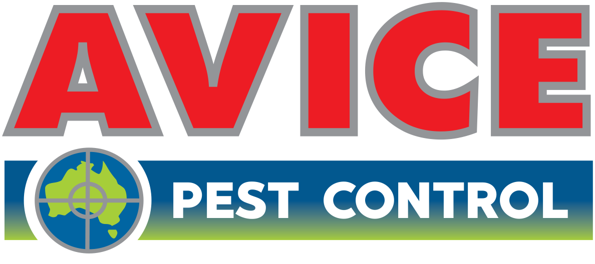 Avice Pest Control